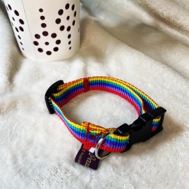 Collier chien Rainbow arc-en-ciel multicolore taille XS sangle en nylon. Cousu main made in france by Pawm