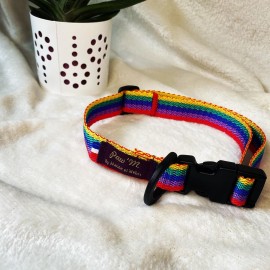 Collier pour chien Rainbow arc-en-ciel multicolore taille S, sangle nylon multicolore, Made In France by Pawm