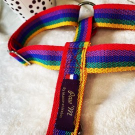 Harnais pour chien Rainbow arc-en-ciel taille L sangle nylon multicolore, made in france by pawm