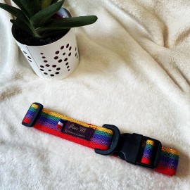 Collier pour chien Rainbow arc-en-ciel multicolore taille L, sangle nylon multicolore, Made In France by Pawm