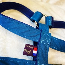 Harnais pour chien Spritz taille S, sangle polypropylène bleue et tissu coton bleu canard, Made In France by Pawm