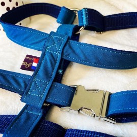 Harnais pour chien Spritz taille S, sangle polypropylène bleue et tissu coton bleu canard, Made In France by Pawm